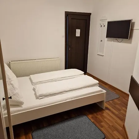 Guest house Pensiunea Terra