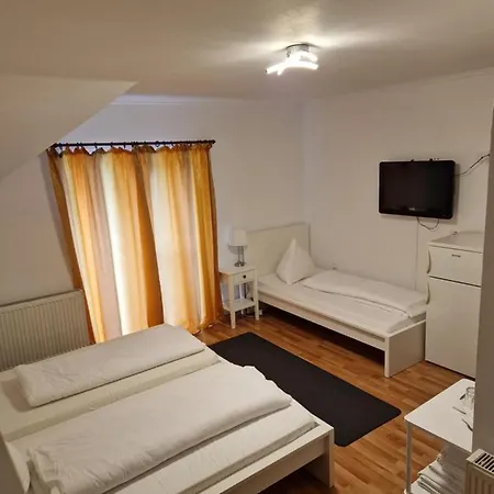 Pensiunea Terra Guest house *