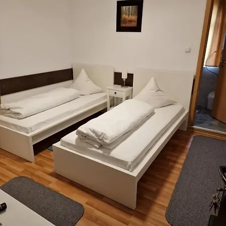 Pensiunea Terra Guest house Pacalesti