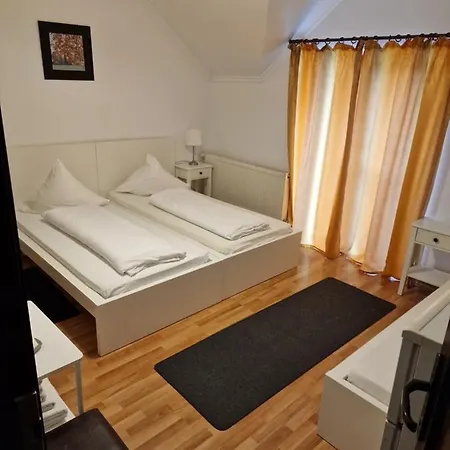Pensiunea Terra Guest house *